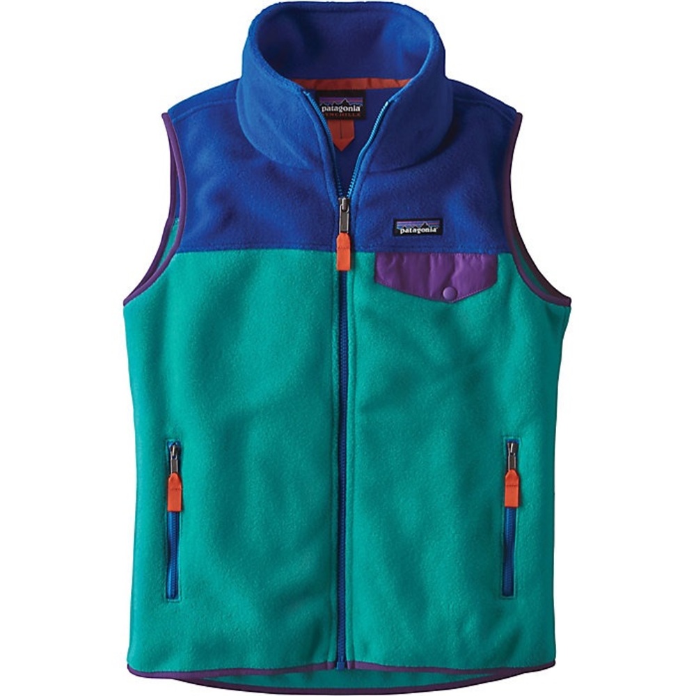 Patagonia Synchilla Vest